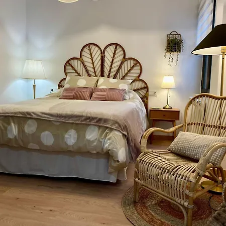 Vut Santa Lucía * Zamora